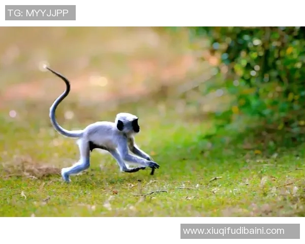 抖音斜阳身法猴照片真人展现独特魅力与风采的精彩瞬间